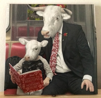 everything was beautiful and nothing hurt